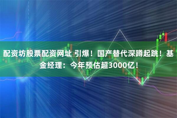 配资坊股票配资网址 引爆！国产替代深蹲起跳！基金经理：今年预估超3000亿！
