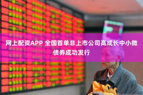 网上配资APP 全国首单非上市公司高成长中小微债券成功发行