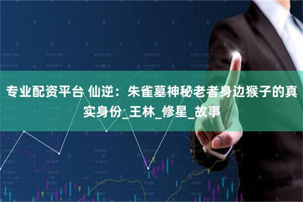 专业配资平台 仙逆：朱雀墓神秘老者身边猴子的真实身份_王林_修星_故事