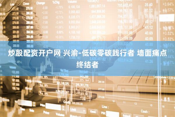 炒股配资开户网 兴渝-低碳零碳践行者 墙面痛点终结者